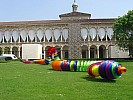 DSC03513.jpg